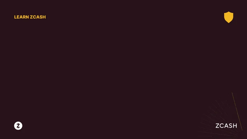 Zcash's Winklevoss-Backed Surge: What's the Deal with the Price and Reddit's Take?